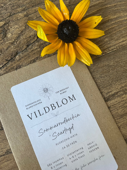 Sommarrudbeckia ”Svartögd”