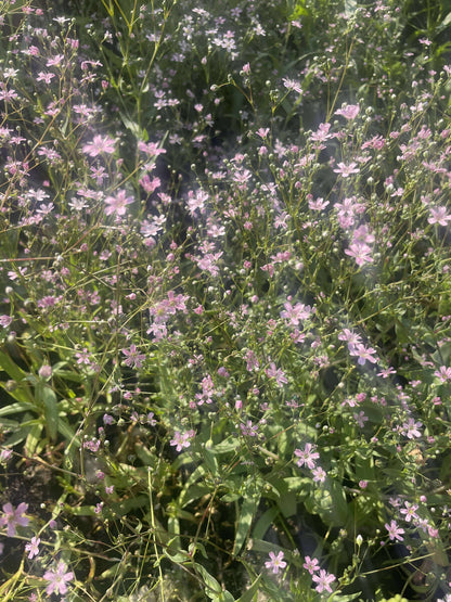 Sommarslöja ”Mix”