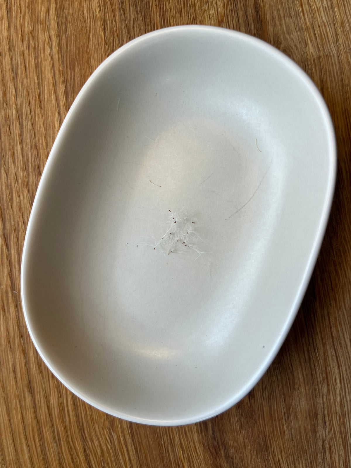 Pärleternell