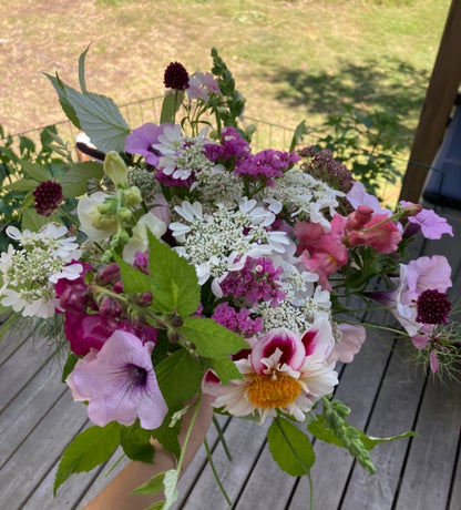 Blomsterkörvel