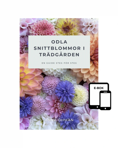 Odla snittblommor i trädgården - E-bok