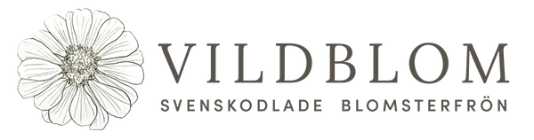 Vildblom